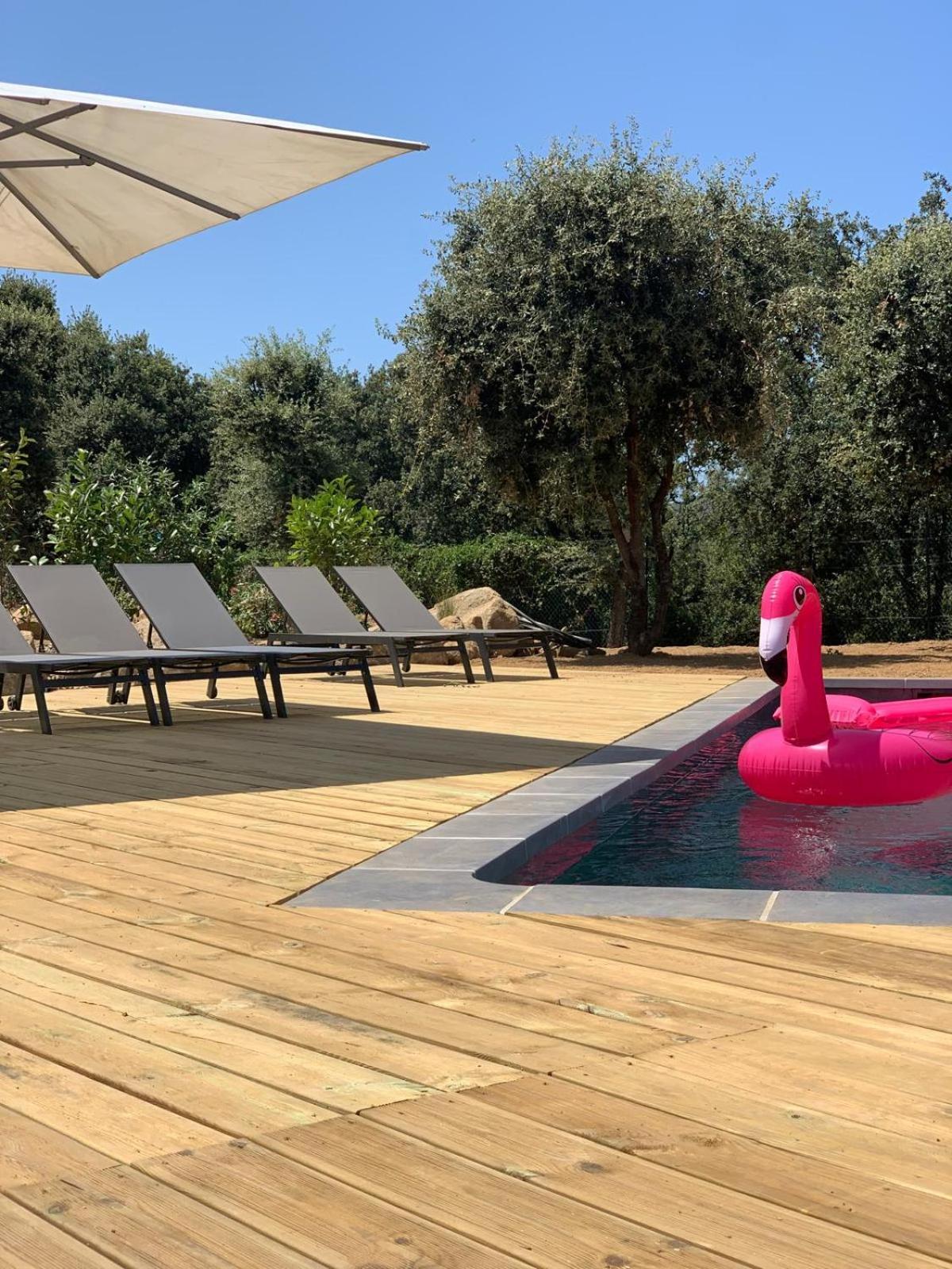 Residence 3 Etoiles Pietra Gemina - Appartements De Vacances, Au Calme, Avec Piscine Calenzana Exteriör bild